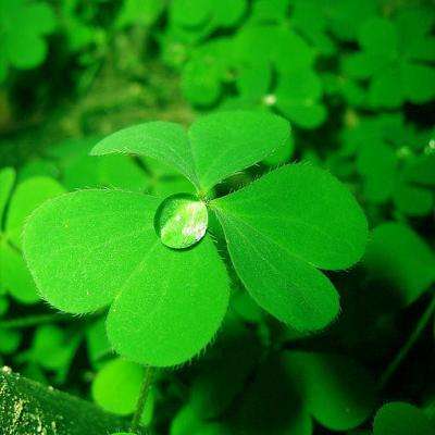 万博·ManBetX手机手机app下载