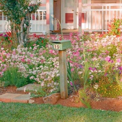 246天天好彩app下载